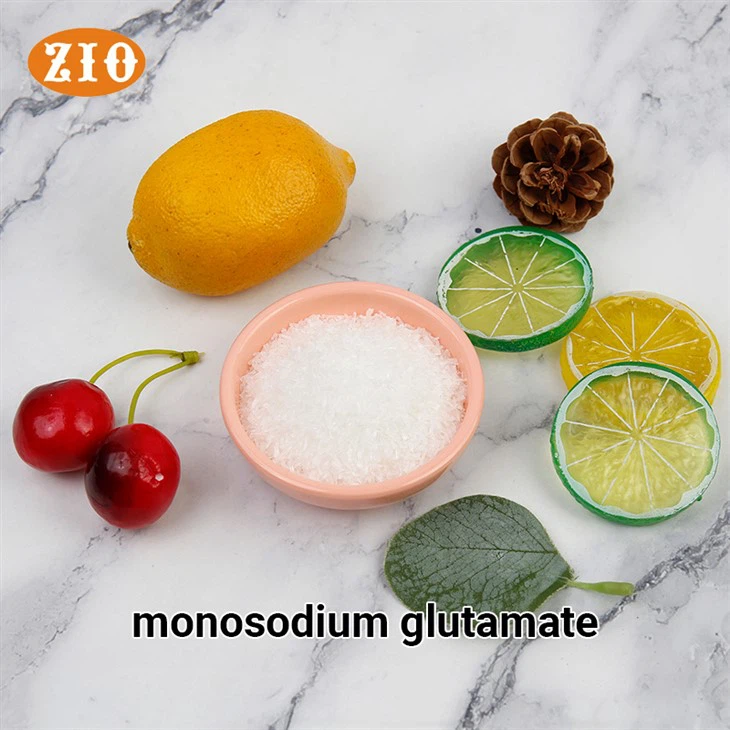 Monosodium Glutamate Msg E621 Food Additive